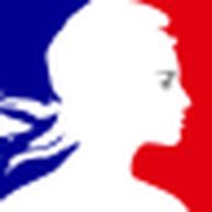 Logo France Num